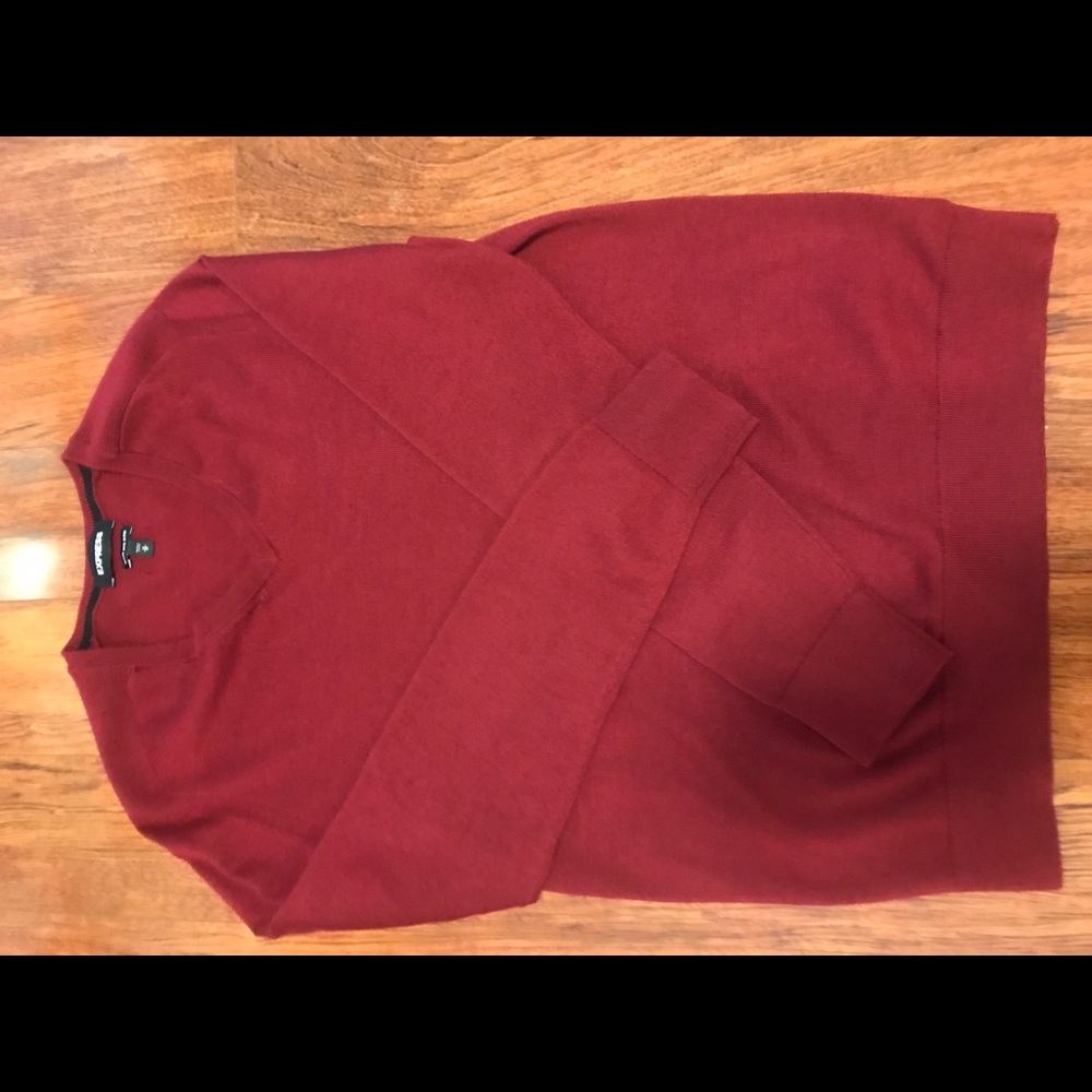 Express Merino Wool Sweater Vneck Medium